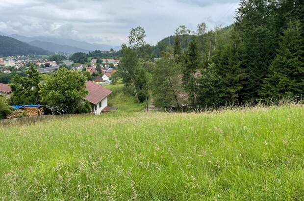 Grundstück kaufen in 8650 Kindberg (Bild 3)