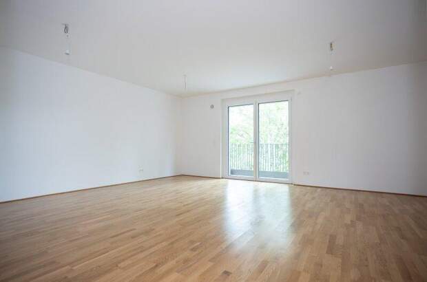 Terrassenwohnung kaufen in 2700 Wr. Neustadt (Bild 1)