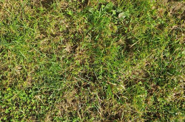 Grundstück kaufen in 3353 Seitenstetten