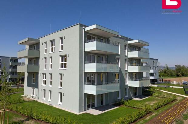 Wohnung mit Balkon kaufen in 4481 Asten (Bild 3)