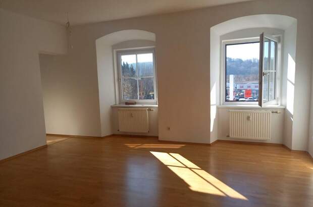 Mietwohnung in 8262 Ilz (Bild 1)