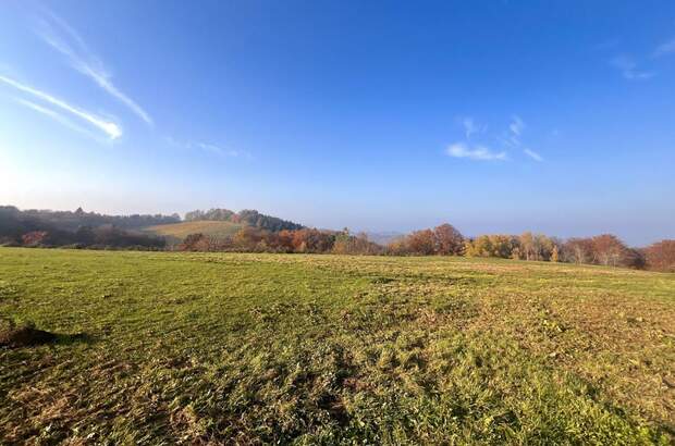 Grundstück kaufen in 8462 Gamlitz