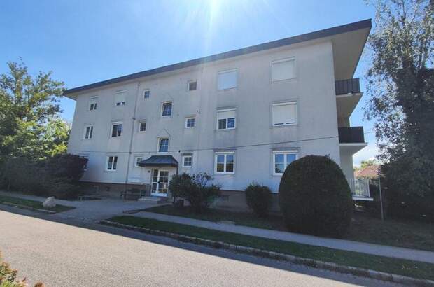 Wohnung mit Balkon kaufen in 7011 Siegendorf (Bild 5)