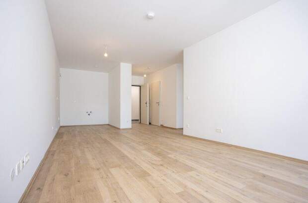 Terrassenwohnung kaufen in 2700 Wr. Neustadt (Bild 5)