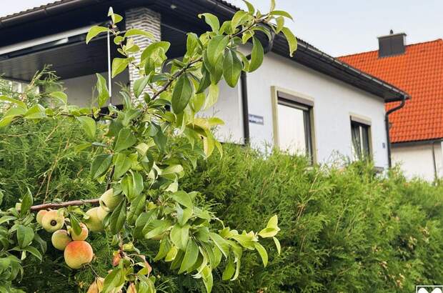 Haus mit Garten kaufen in 2630 Pottschach (Bild 1)