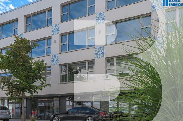 Gewerbeobjekt mieten in 4050 Traun (Bild 1)