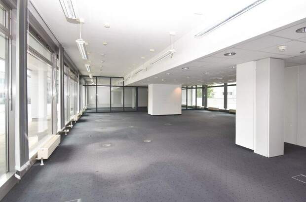 Büro / Praxis mieten in 2345 Brunn (Bild 3)