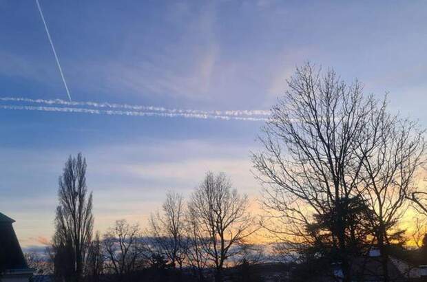 Wohnung mit Balkon kaufen in 1190 Wien (Bild 2)