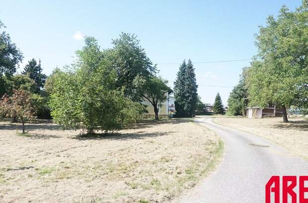 Gewerbeobjekt kaufen in 4912 Neuhofen (Bild 2)