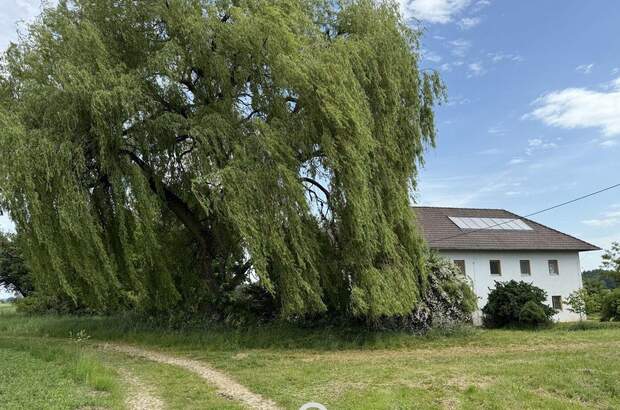 Haus kaufen in 4643 Pettenbach (Bild 3)
