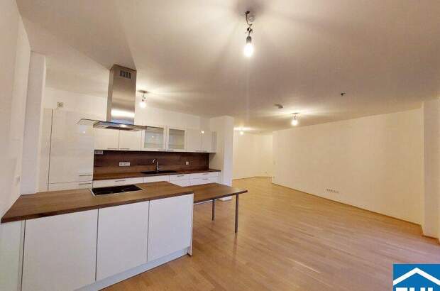 Terrassenwohnung mieten in 1090 Wien (Bild 1)