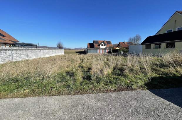 Grundstück kaufen in 3393 Matzleinsdorf (Bild 5)