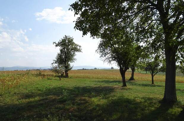 Bauernhaus kaufen in 4431 Haidershofen (Bild 2)