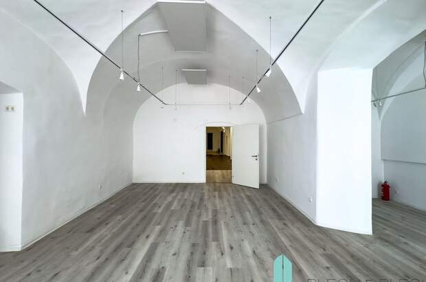 Gewerbeobjekt mieten in 1010 Wien (Bild 2)