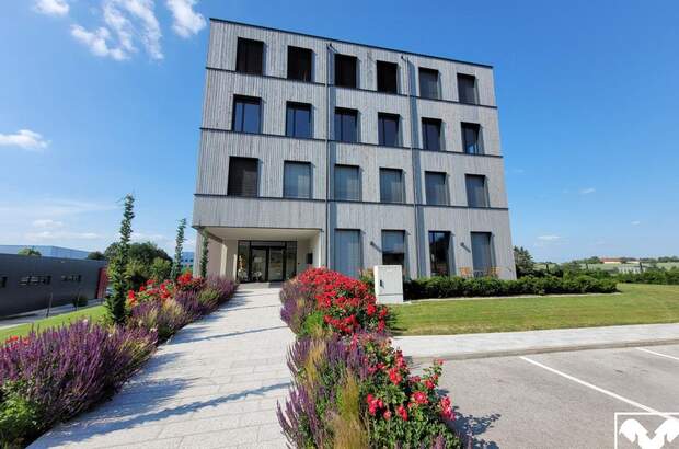 Gewerbeobjekt mieten in 4540 Bad Hall (Bild 3)