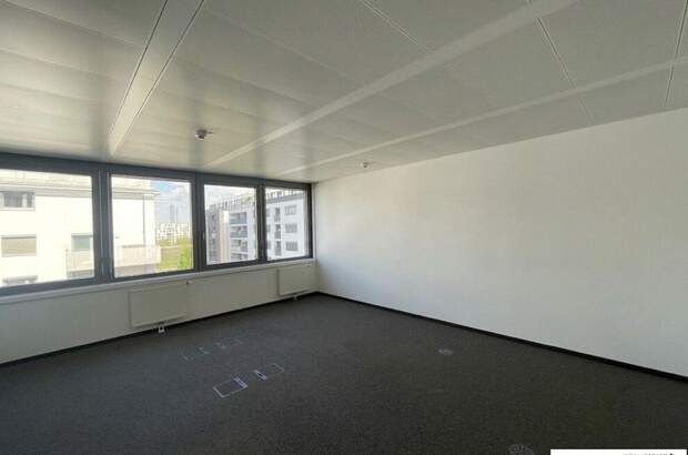 Gewerbeobjekt mieten in 1020 Wien (Bild 5)