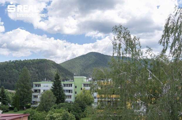 Terrassenwohnung kaufen in 2763 Neusiedl (Bild 4)