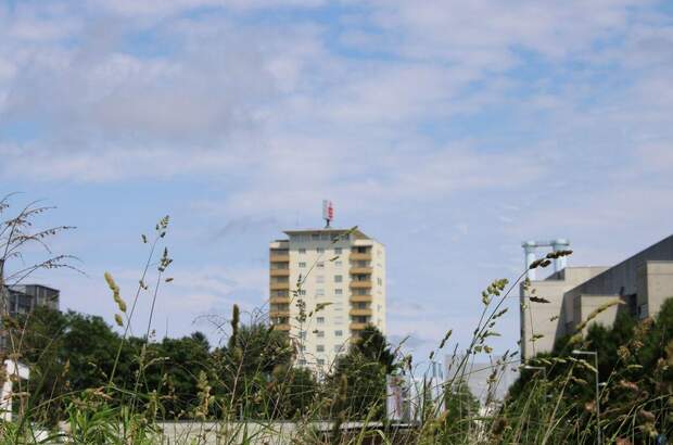 Grundstück kaufen in 8041 Graz (Bild 1)