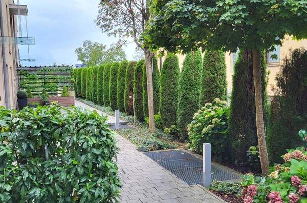 Terrassenwohnung mieten in 5026 Salzburg (Bild 3)