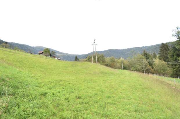 Gewerbeobjekt kaufen in 9543 Arriach (Bild 1)