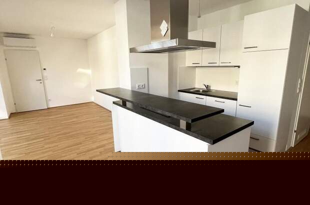 Terrassenwohnung kaufen in 1230 Wien (Bild 4)