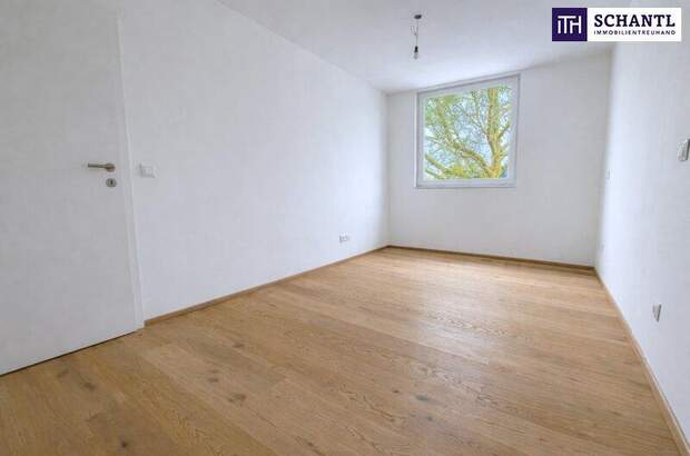 Terrassenwohnung kaufen in 2514 Traiskirchen (Bild 4)