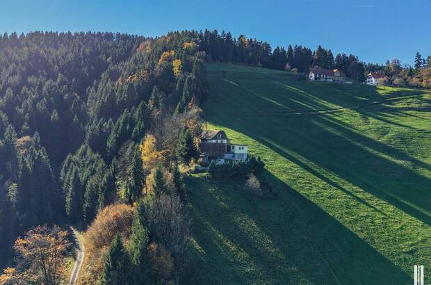 Gewerbeobjekt kaufen in 8570 Kleinwöllmiß (Bild 1)