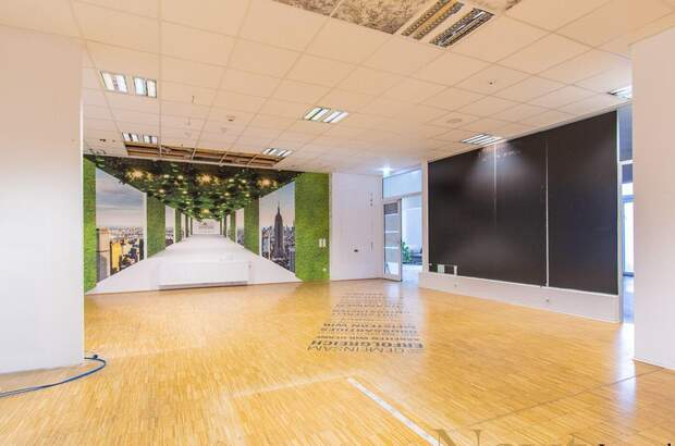 Gewerbeobjekt mieten in 4052 Ansfelden (Bild 4)