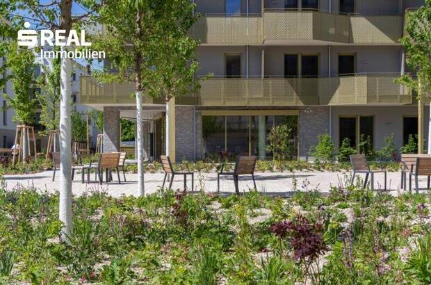 Terrassenwohnung kaufen in 1210 Wien (Bild 1)