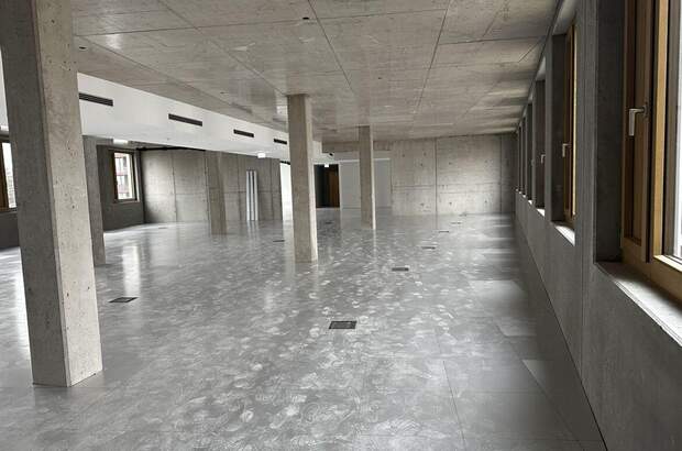 Gewerbeobjekt mieten in 1230 Wien (Bild 4)