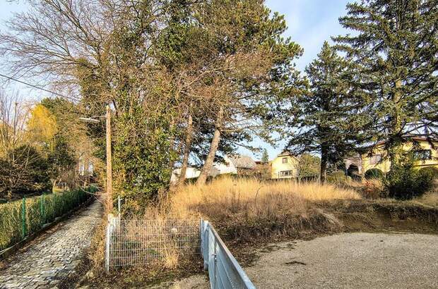 Grundstück kaufen in 1170 Wien (Bild 2)