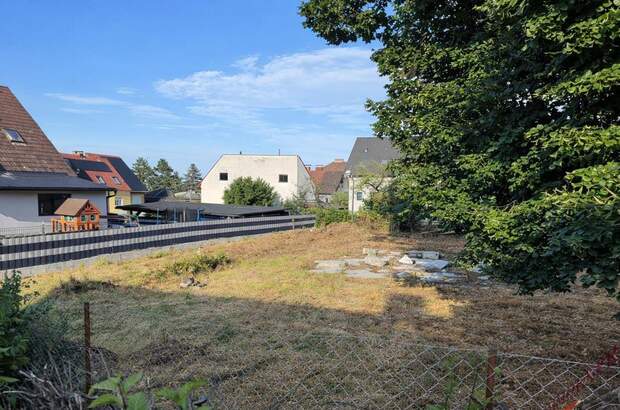 Grundstück kaufen in 2752 Wöllersdorf (Bild 4)