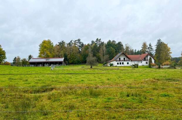 Haus mit Garten kaufen in 3860 Heidenreichstein