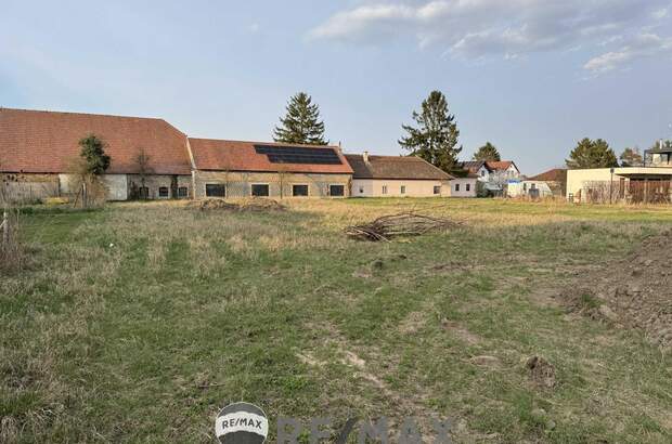 Grundstück kaufen in 3483 Feuersbrunn (Bild 1)