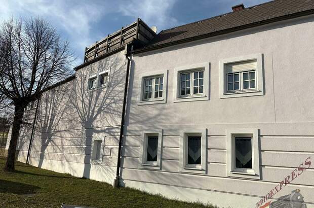 Einfamilienhaus mieten in 7021 Gemeinde Draßburg (Bild 5)
