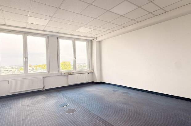 Gewerbeobjekt mieten in 2320 Schwechat (Bild 2)