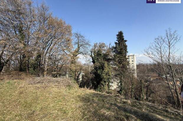 Grundstück kaufen in 8052 Graz (Bild 3)