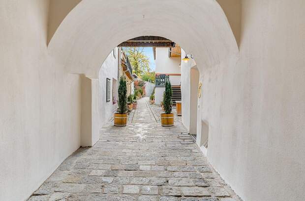 Altbauwohnung kaufen in 1190 Wien (Bild 2)