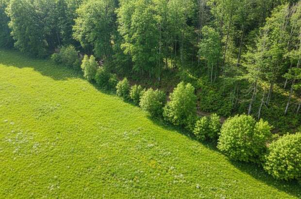 Grundstück kaufen in 4645 Grünau (Bild 1)