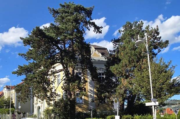Haus kaufen in 4040 Linz (Bild 2)