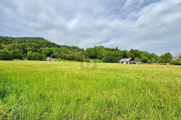 Grundstück kaufen in 9081 Reifnitz (Bild 2)