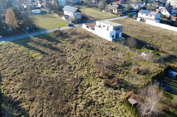 Grundstück kaufen in 2230 Gänserndorf (Bild 2)
