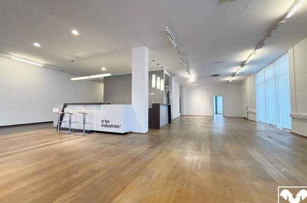 Gewerbeobjekt mieten in 4600 Wels (Bild 2)