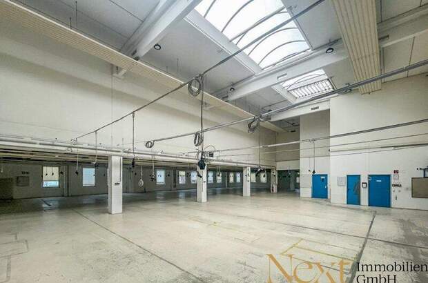 Lager mieten in 4052 Ansfelden (Bild 3)