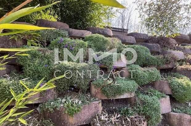 Haus kaufen in 2224 Sulz