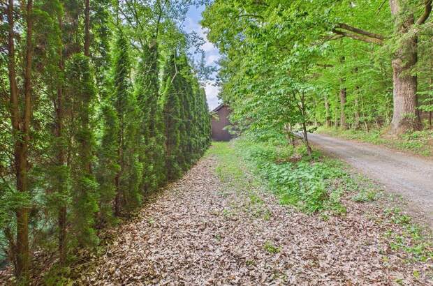 Grundstück kaufen in 8230 Eggendorf (Bild 2)