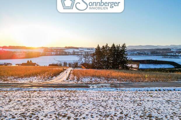 Grundstück kaufen in 4501 Neuhofen (Bild 1)