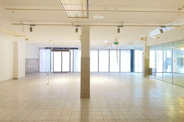 Gewerbeobjekt mieten in 4020 Linz (Bild 1)