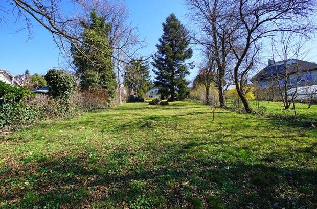 Grundstück kaufen in 3003 Gablitz (Bild 2)