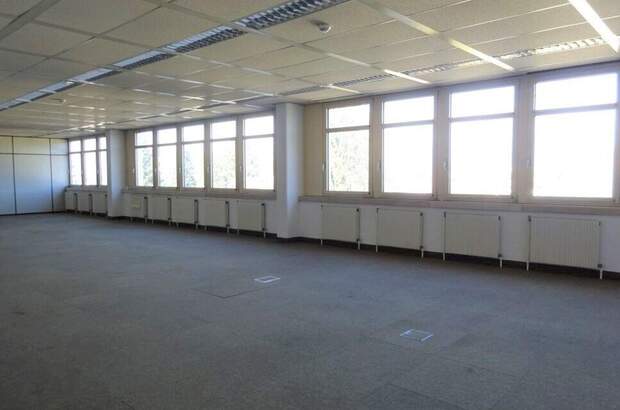 Gewerbeobjekt mieten in 8055 Graz (Bild 1)